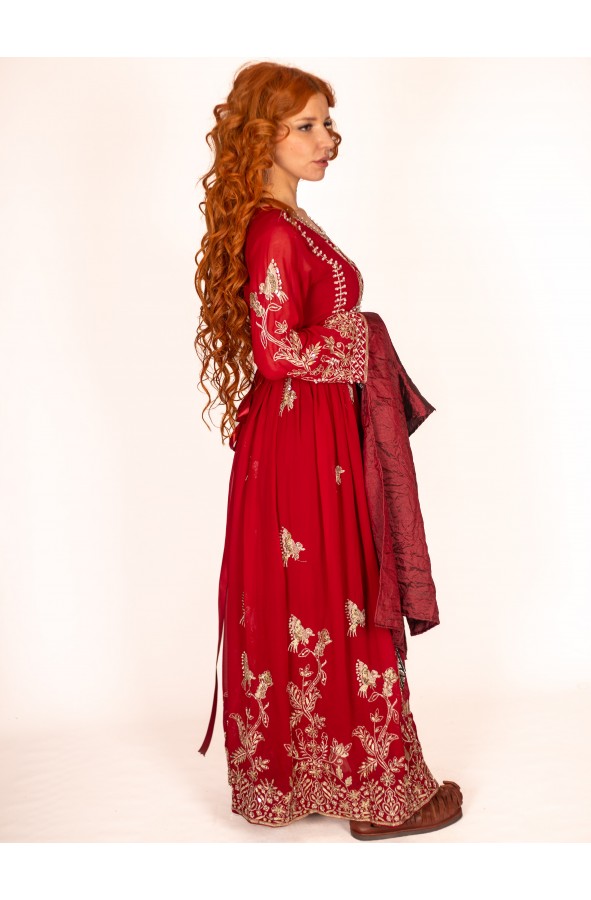 Medieval Red Queen Dress with silver...