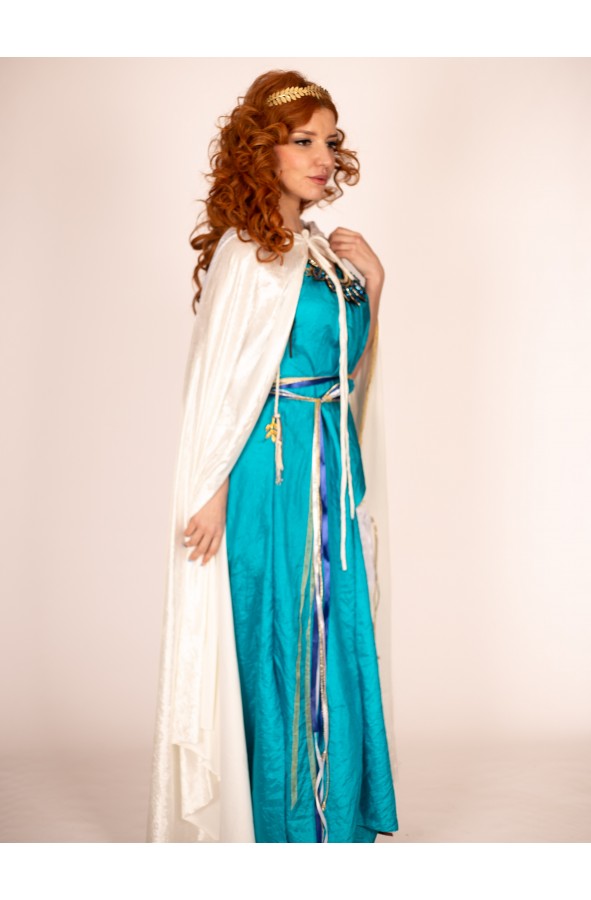 Blue Dress with Golden Leaf Details...