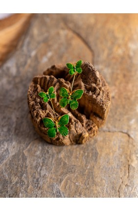 Pendientes verdes para...