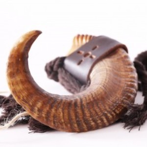 Viking horn